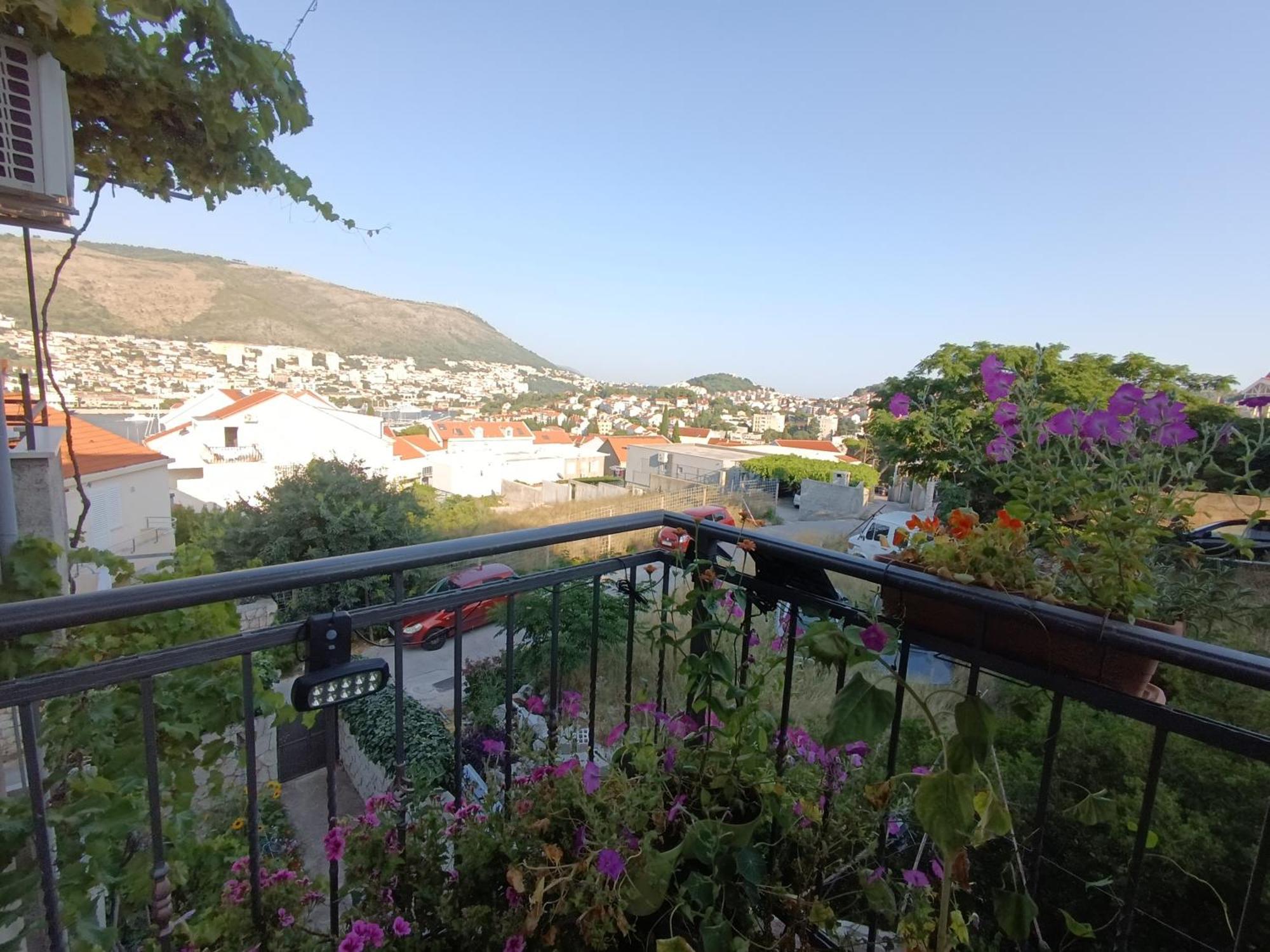 Apartment Nema